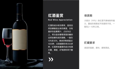 產(chǎn)品展示頁模板設(shè)計與制作指南 圖文結(jié)合的視覺傳達(dá)藝術(shù)